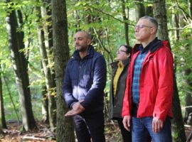 Participants meditating on their Forest Bathing walk.
Photo Credit: Isy Muir