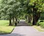 Victorian park in Walkden wins £1,500 for community garden