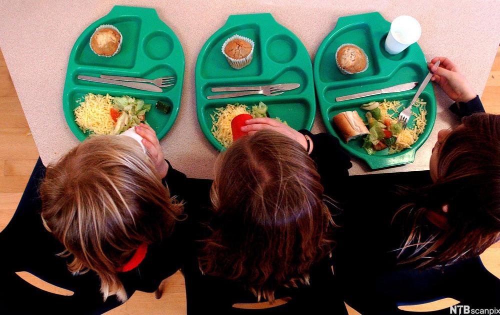 School dinners photo, creative commons: https://ndla.no/en/subject:1:9b93cd9e-a45c-428c-a8fb-b4955169efdf/topic:1:24e3e6b2-ce4a-46bf-9ab2-db5fca7ddfcd/topic:1:983f6c35-509a-41d5-b4f1-9c2c2d171daf/topic:1:38ef54f1-fd28-4783-b11c-b4770d487031/resource:1:18585