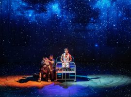 The "spectacular" Life of Pi returns to The Lowry this summer