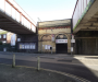 “It is deeply saddening to see animals suffering” – Large number of pigeons found dead at Walkden train station