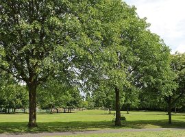 St. Mary's Park, Portland Rd, Walkden - via Robert Linsdell