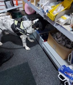 Search dogs discovered the vapes - via Salford City Council 