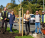 Eight thousand trees to be planted in Salford