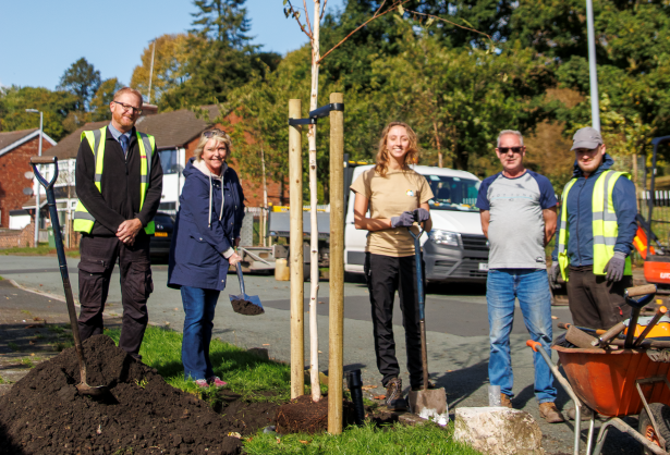 Salford Council Planting Trees