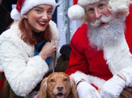 Santa Paws event in the New Bailey provided by SolidGround