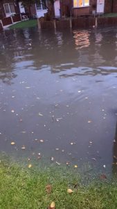 supplied from Cllr Mishal Saeed