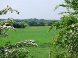 "A welcome outcome, but not the final one" - Salford MP hails decision to pause green belt housing plan