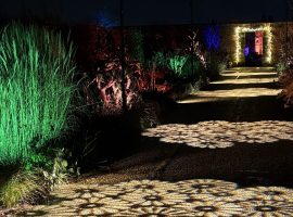 RHS Glow, taken by Laura Hughes