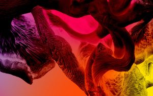 The Guardians of Living Matter (The Lowry, 2025)