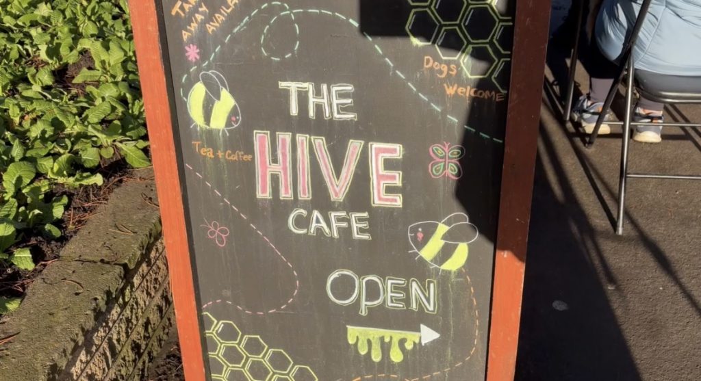 The Hive Wellbeing Hub Sign (Elayna Towell, 2025)